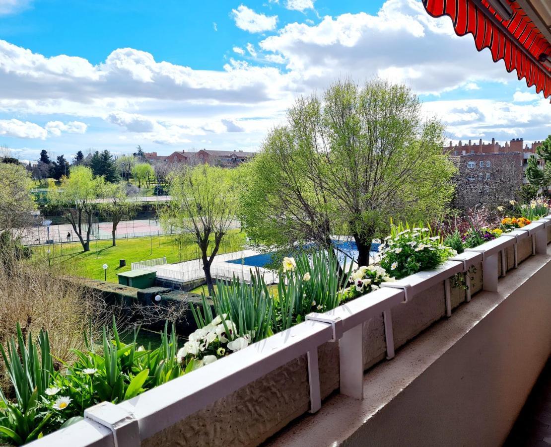 Modern B&B Somosaguas エクステリア 写真