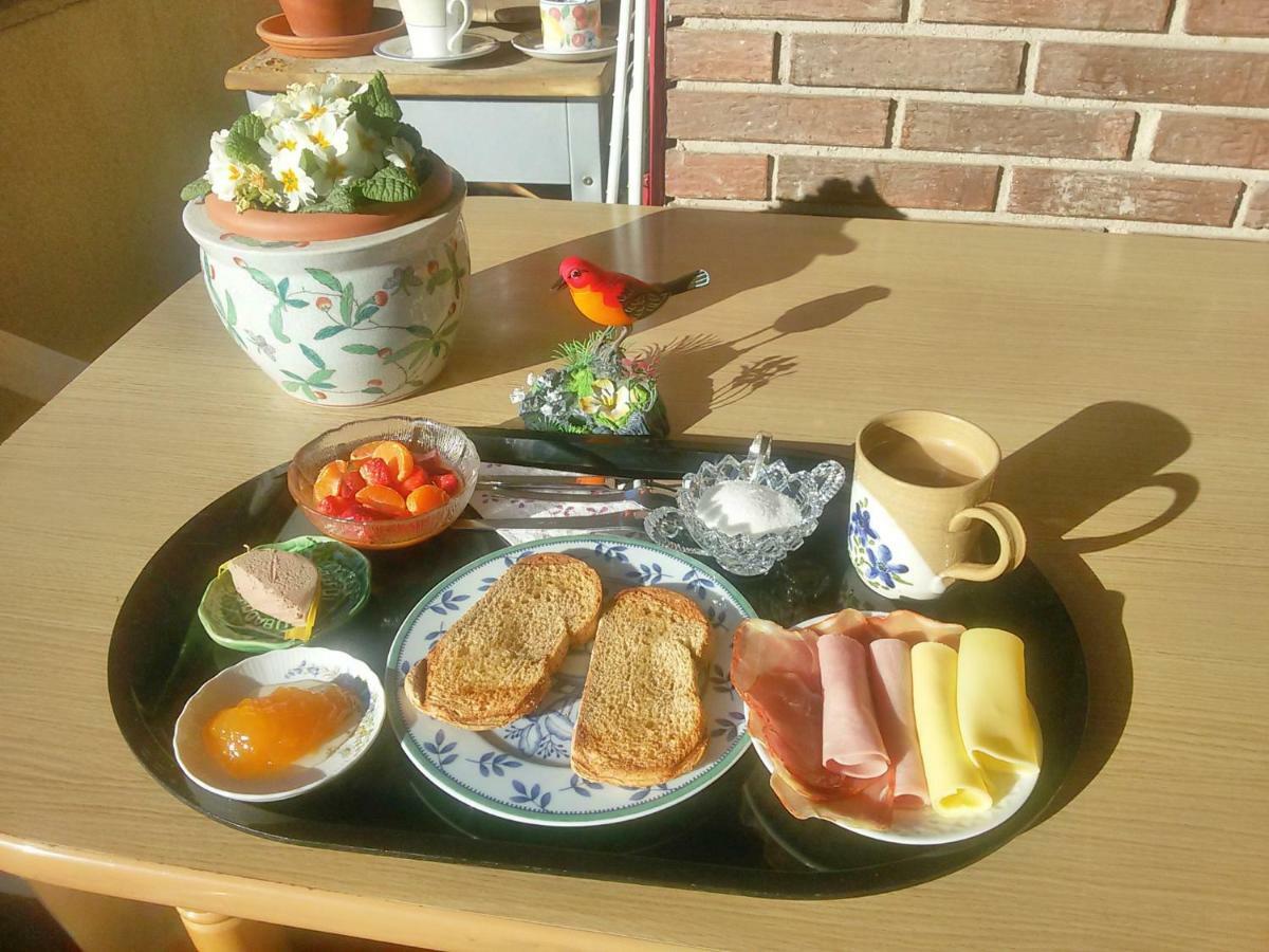Modern B&B Somosaguas エクステリア 写真